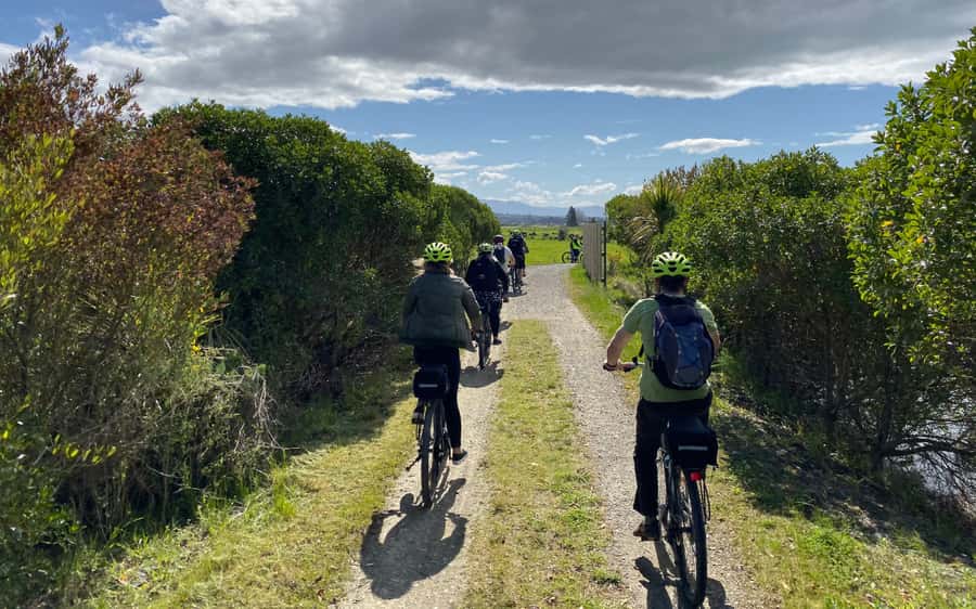 Nelson to Mapua: Full-Day Cycling Self-Guided Adventure - Nelson’s Classic Car Museum and the Honest Lawyer