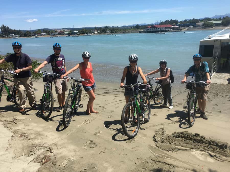 Nelson to Mapua: Full-Day Cycling Self-Guided Adventure - Waimea Estuary and the coastal boardwalks