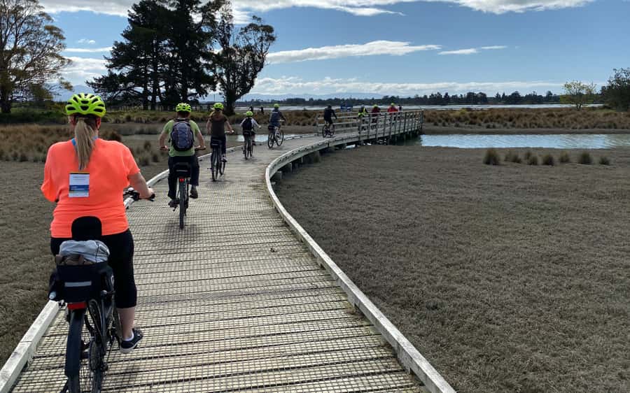 Nelson to Mapua: Full-Day Cycling Self-Guided Adventure - Arriving at Mapua by ferry