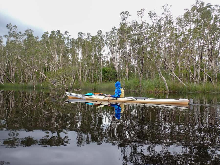 Noosa Everglades: Truly Sustainable Self Guided KAYAK Tour - Key points at a glance