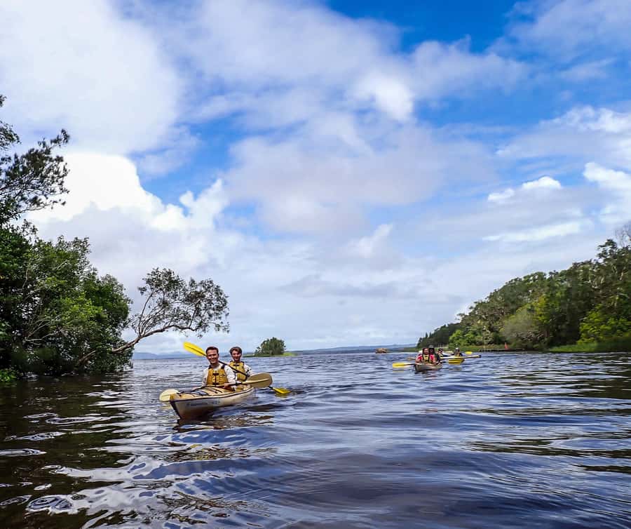 Noosa Everglades: Truly Sustainable Self Guided KAYAK Tour - Why the Noosa Everglades are worth your day