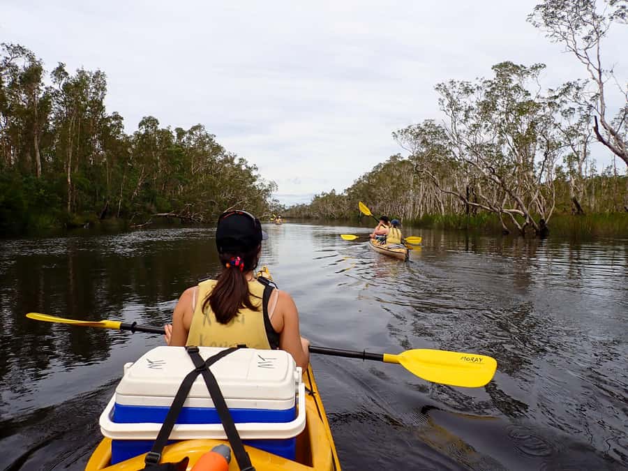 Noosa Everglades: Truly Sustainable Self Guided KAYAK Tour - Who will enjoy this most?