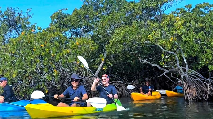 Noosa Heads: Hidden Waterways Wildlife Kayak (Self-Guided) - Starting at Weyba Esplanade