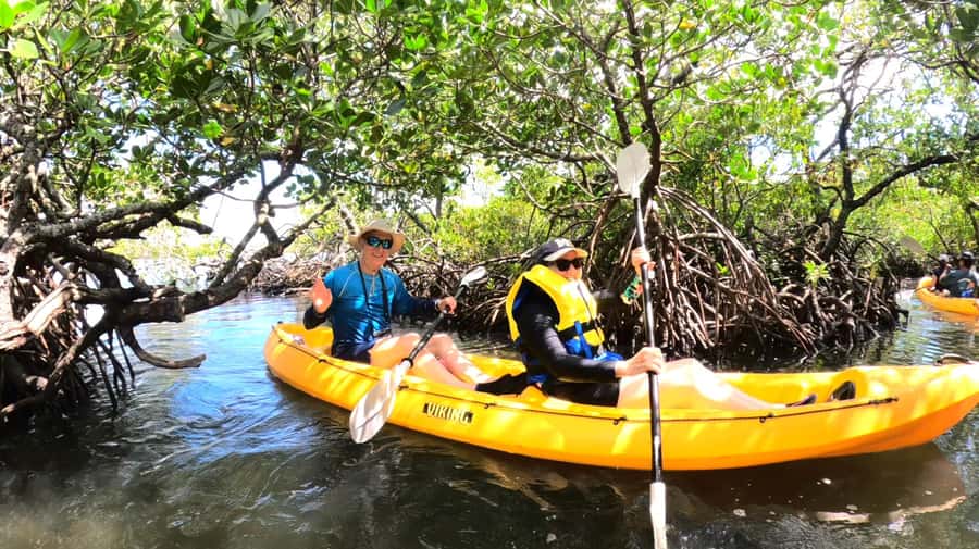 Noosa Heads: Hidden Waterways Wildlife Kayak (Self-Guided) - Entering the calm Weyba waterways