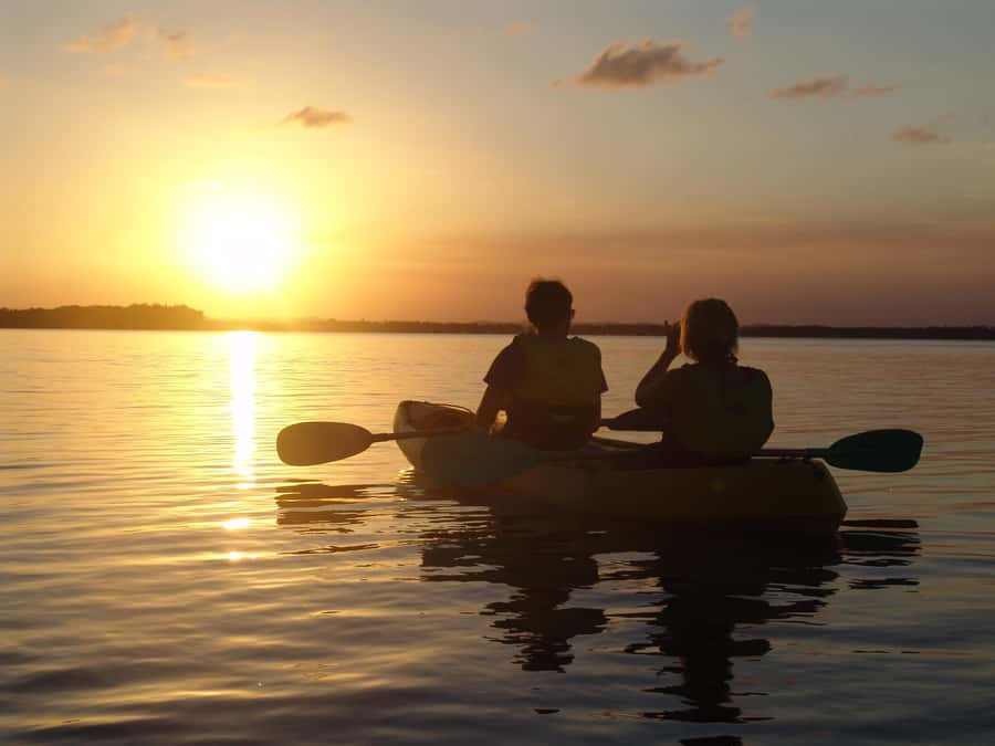 Noosa Heads: Hidden Waterways Wildlife Kayak (Self-Guided) - Through the mangrove tunnels