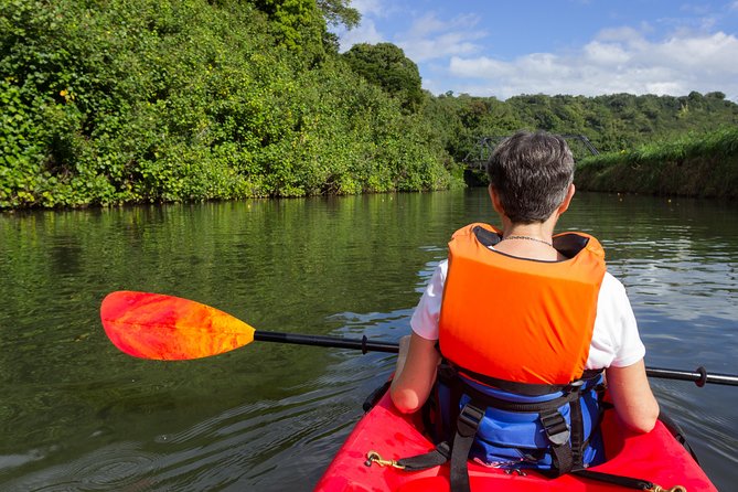 North Shore Kauai Self-Guided Audio Tour - Who will enjoy this self-guided drive