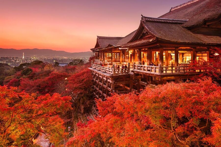One Day Private Customized Self-Guided Tour in Kyoto - Key points to know before booking