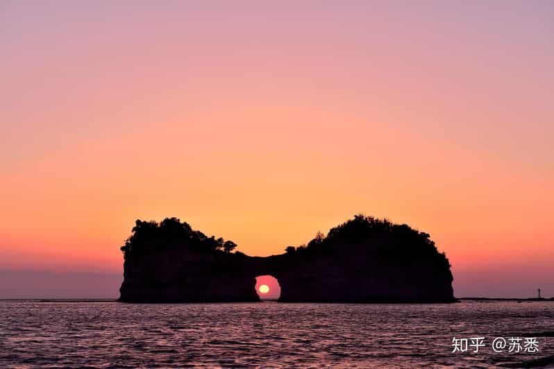 One Day Private Customized Self-Guided Tour in Wakayama - Kuroshio Market and Wakayama Castle