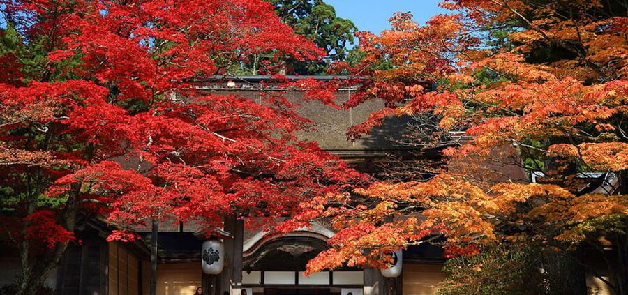 One Day Private Customized Self-Guided Tour in Wakayama - Kishi Station and the problem with too many stops