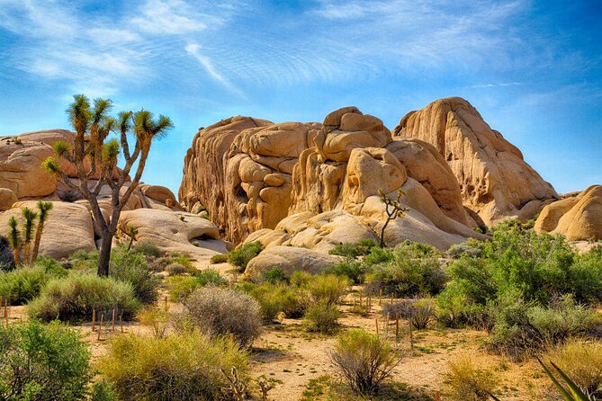Palm Springs and Joshua Tree Self-Guided Driving Audio Tours - Two California deserts, one flexible audio guide