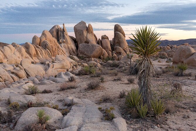 Palm Springs and Joshua Tree Self-Guided Driving Audio Tours - Pioneertown and the road to Joshua Tree