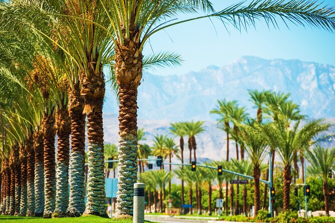 Palm Springs and Joshua Tree Self-Guided Driving Audio Tours - Samuelson’s Rock, Willow Hole, and climbing country