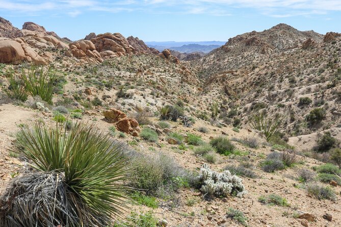 Palm Springs and Joshua Tree Self-Guided Driving Audio Tours - Sunset, dark skies, and the park’s final stops