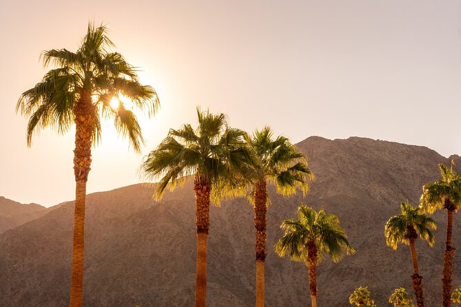 Palm Springs and Joshua Tree Self-Guided Driving Audio Tours - Cemeteries, palms, and desert trails