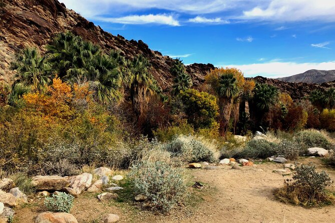 Palm Springs Self-Guided Driving Audio Tour - The Movie Colony is the tour’s strongest neighborhood