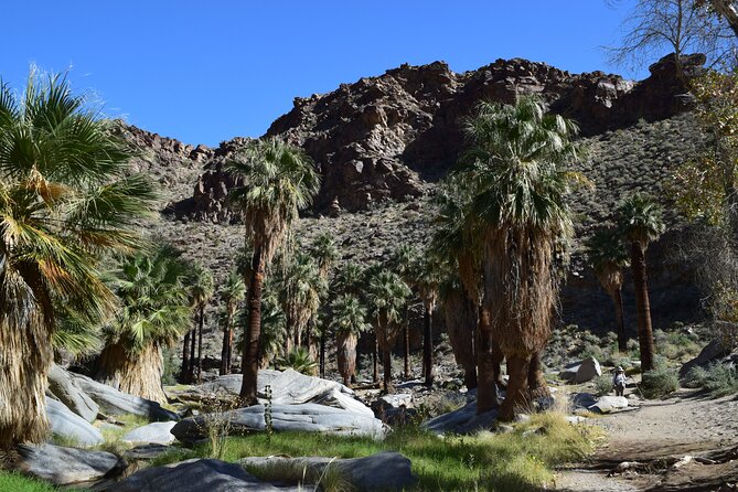 Palm Springs Self-Guided Driving Audio Tour - Robolights and the Walk of the Stars add a change of pace