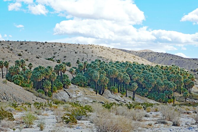 Palm Springs Self-Guided Driving Audio Tour - Starting with Kaufmann, Liberace, and Palm Springs modernism