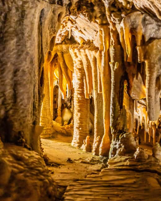 Palma: Caves of Genova Ticket & Digital Audio Guide - Who will enjoy Genova most?