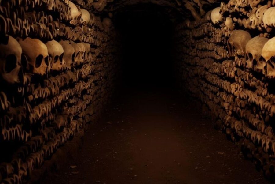 Paris: Catacombs, Audio Guide, and River Cruise Option - The optional Seine cruise from the Eiffel Tower