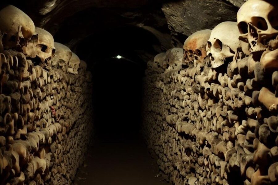 Paris: Catacombs, Audio Guide, and River Cruise Option - Who will enjoy this experience most