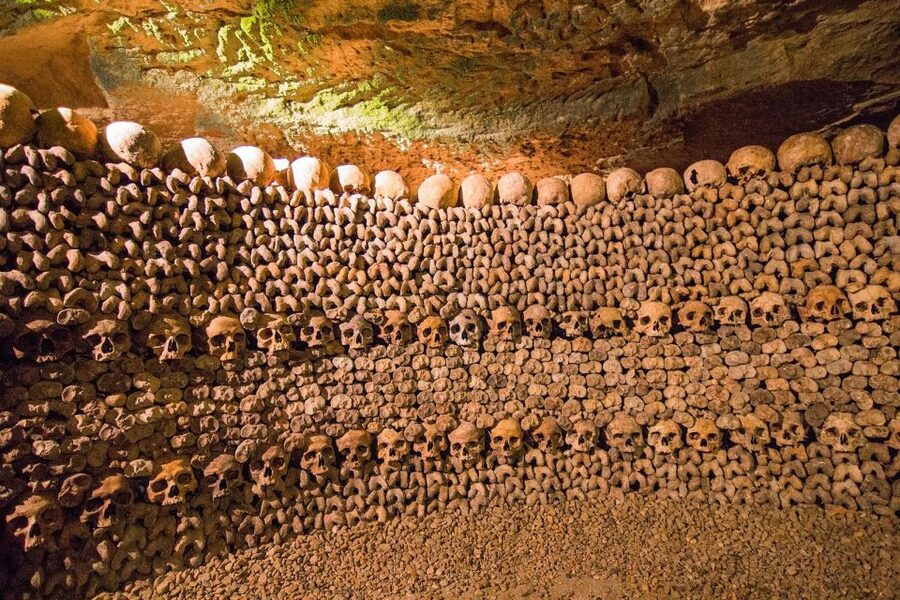 Paris: Catacombs Entry & Seine River Cruise with Audio Guide - The Seine Cruise at Port de la Conférence
