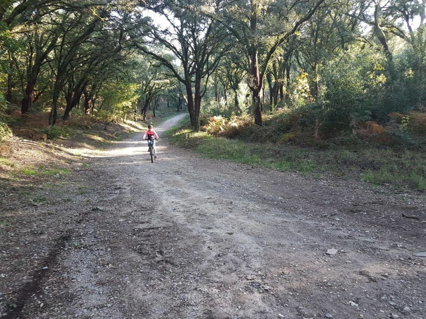 Peneda Gerês National Park: Self-Guided Electric Bike Tour - A full day of Gerês scenery in five hours