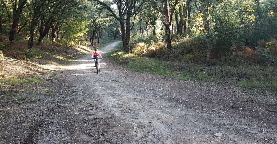 Peneda Gerês National Park: Self-Guided Electric Bike Tour - Ermelo and the climb toward Soajo