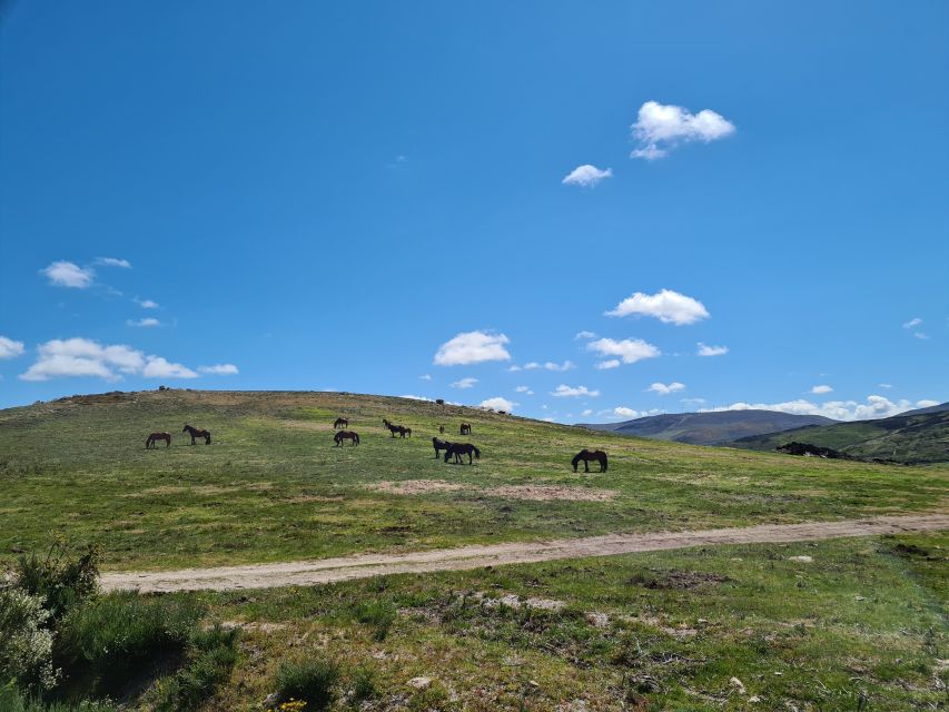 Peneda Gerês National Park: Self-Guided Electric Bike Tour - Starting at Tobogã Base and crossing the Lima River
