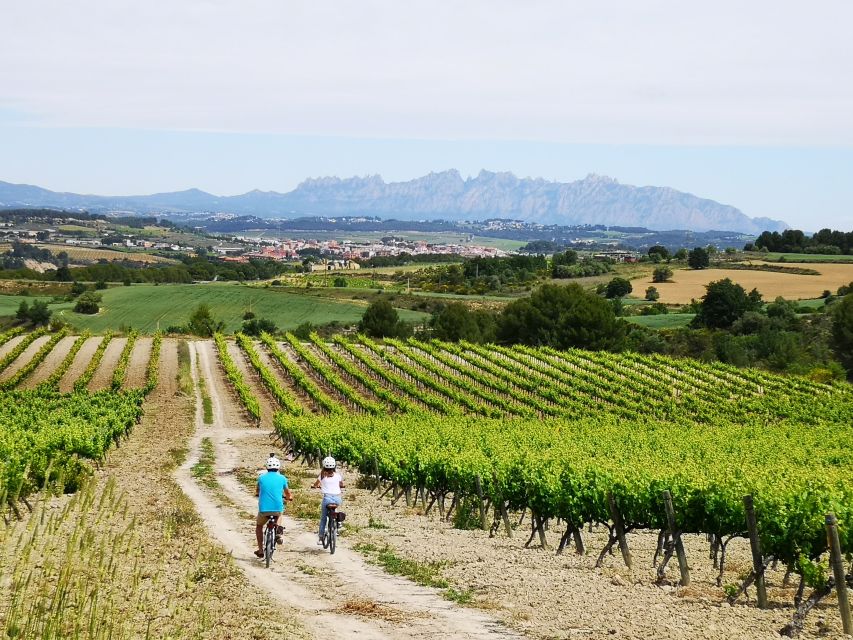 Penedès/BCN: Self-Guided eBike Tour with guided Winery Visit - Meeting Albert and choosing your bike
