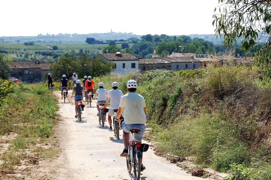 Penedès/BCN: Self-Guided eBike Tour with guided Winery Visit - Following the vineyard route at your own speed