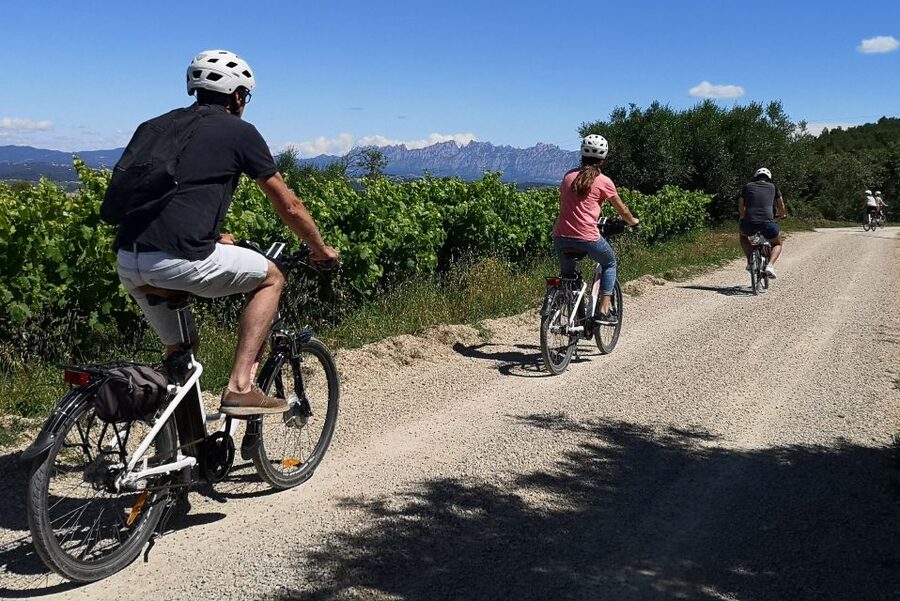 Penedès/BCN: Self-Guided eBike Tour with guided Winery Visit - Who will enjoy this outing most