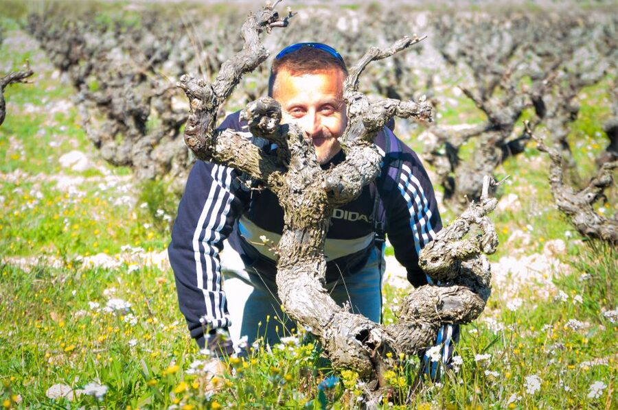 Penedès/BCN: Self-Guided eBike Tour with guided Winery Visit - Getting from Barcelona to Lavern-Subirats