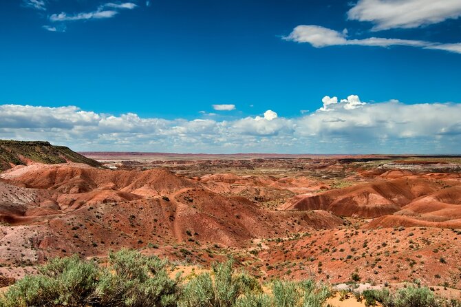 Petrified Forest National Park Self Guided Audio Driving Tour - Blue Mesa and its one-way loop