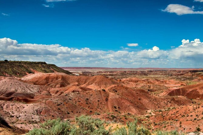 Petrified Forest National Park Self-Guided Driving Audio Tour - Blue Mesa, the park’s essential side trip