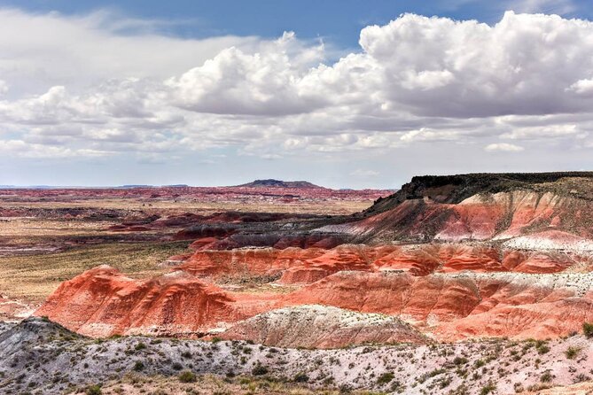 Petrified Forest National Park Self-Guided Driving Audio Tour - Historic Route 66 and the park’s roadside stories