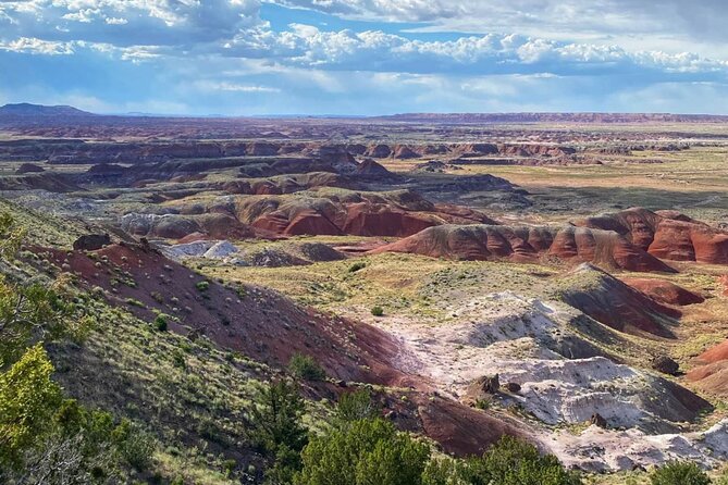 Petrified Forest National Park Self-Guided Driving Audio Tour - Jasper Forest and the color of petrified wood