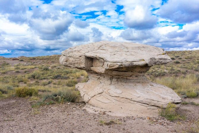 Petrified Forest National Park Self-Guided Driving Audio Tour - Crystal Forest and the final walking stop