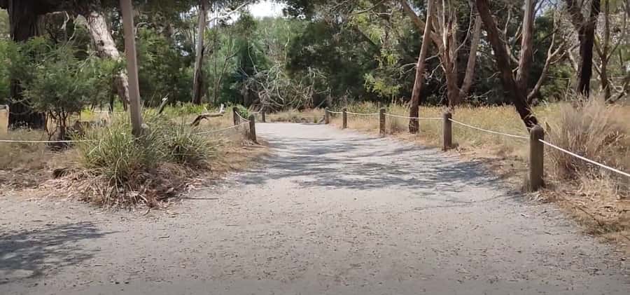 Phillip Island Driving Tour with an APP - How much time and money should you allow?