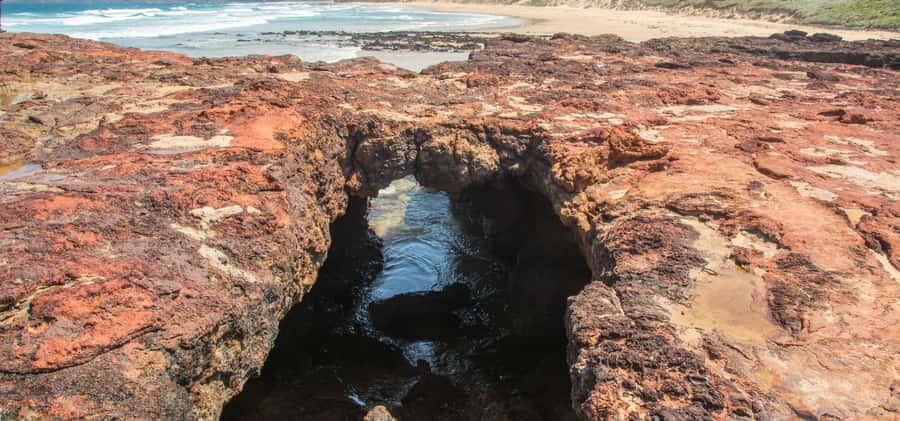 Phillip Island Driving Tour with an APP - Family stops near A Maze N Things and the wildlife centers