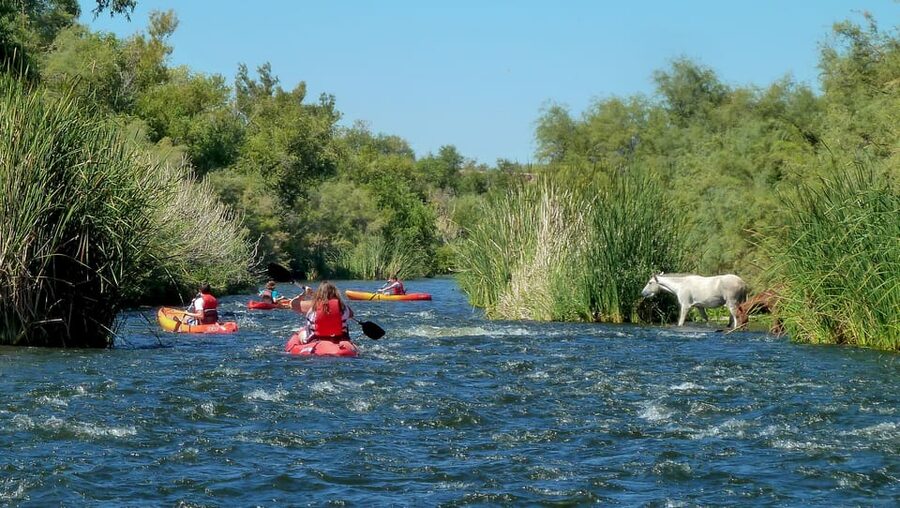 Phoenix: Self-Guided Kayaking Trip to Foxtail - Key points to know before you book