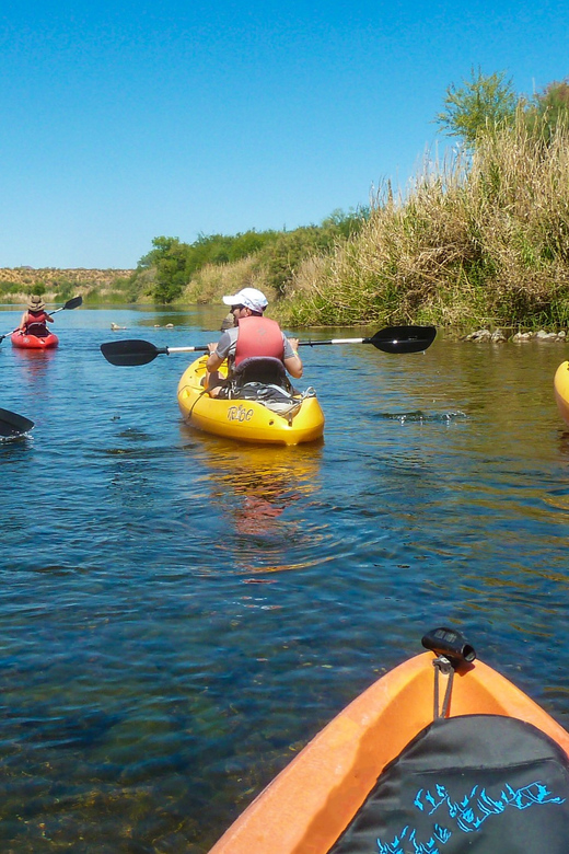Phoenix: Self-Guided Kayaking Trip to Foxtail - An unguided trip that still suits beginners