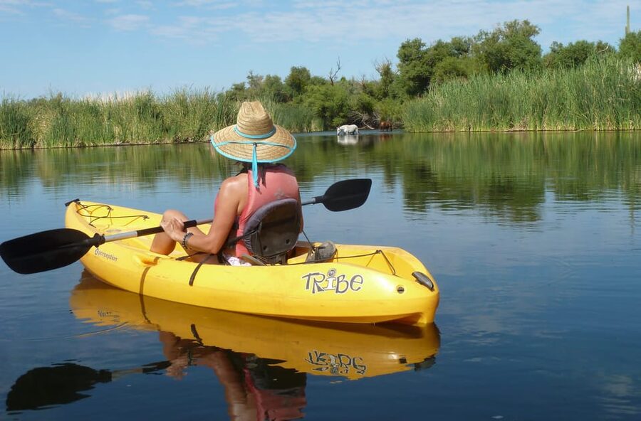Phoenix: Self-Guided Kayaking Trip to Foxtail - When to go and what to wear