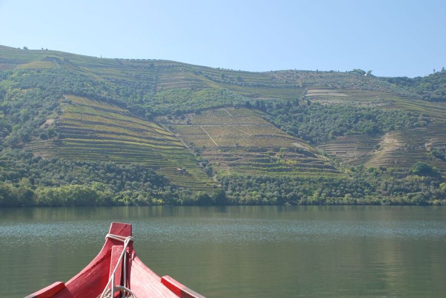 Pinhão: 2-Hour Rabelo Boat Tour with Audio Guide - How the $35 price compares with the experience