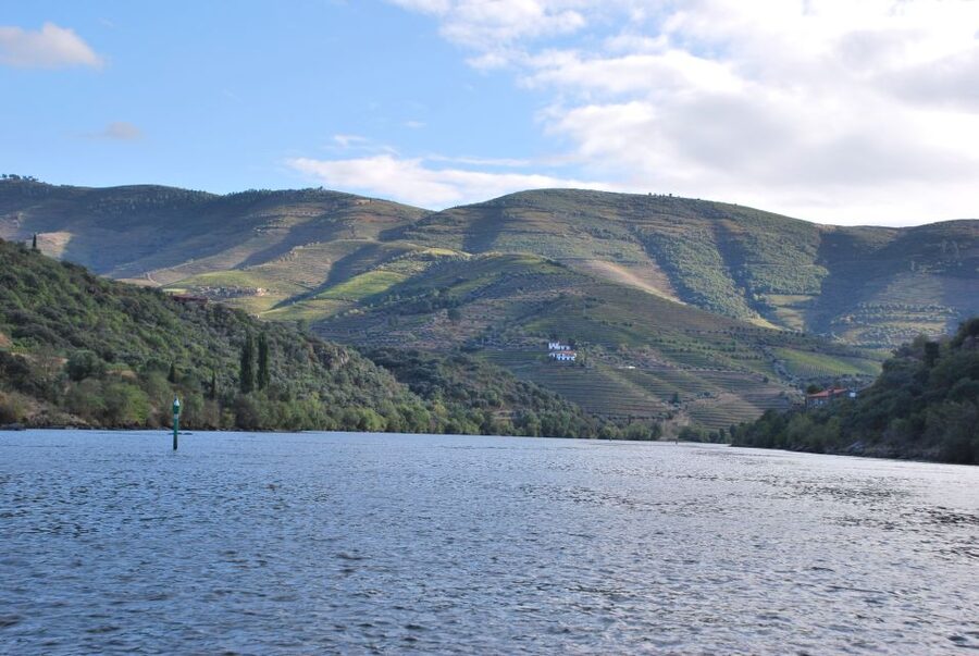 Pinhão: 2-Hour Rabelo Boat Tour with Audio Guide - Who should book this Douro cruise?