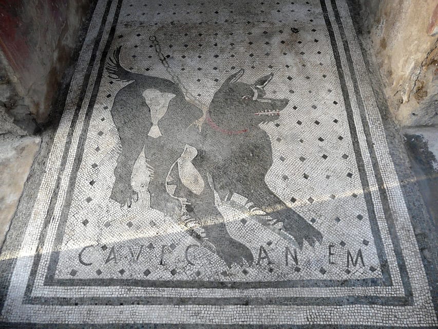 Pompeii: Skip-the-Line Entry & Audioguide - The Forum and Vesuvius Set the Scene
