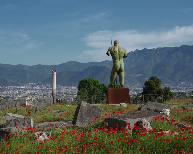 Pompeii: Skip-the-Line Entry Ticket with Digital Guide App - Walking the Roman Streets