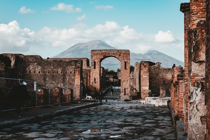 Pompeii: Skip the line ticket (art) + audioguide + map - What this Pompeii experience actually includes