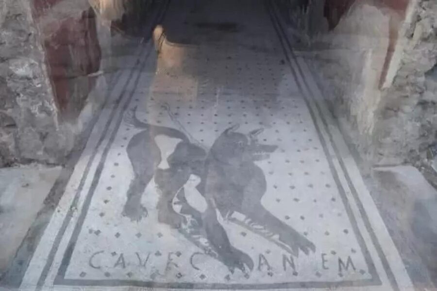 Pompeii: Skip the Line Ticket + Audioguide - Value at $46 per person