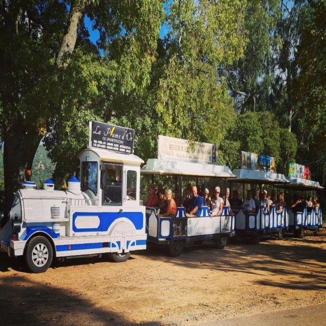 Porticcio: Coastal Train Ticket with Audio Guide & Tastings - Who will enjoy this little train ride?