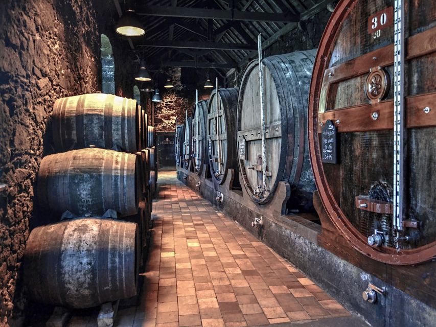 Porto: Self-Guided Bike and Boat Tour with Port Wine Tasting - Afurada and the local-food option